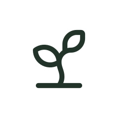 sprout icon